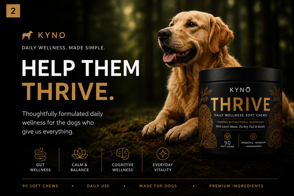 THRIVE - Daily Wellness Soft Chews for Dogs