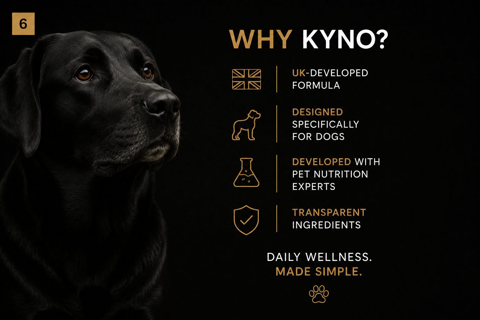 THRIVE - Daily Wellness Soft Chews for Dogs